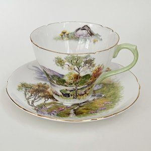 Shelley 13788 English Lakes Mid-Century Multicolor Fine Bone China Cup & Saucer